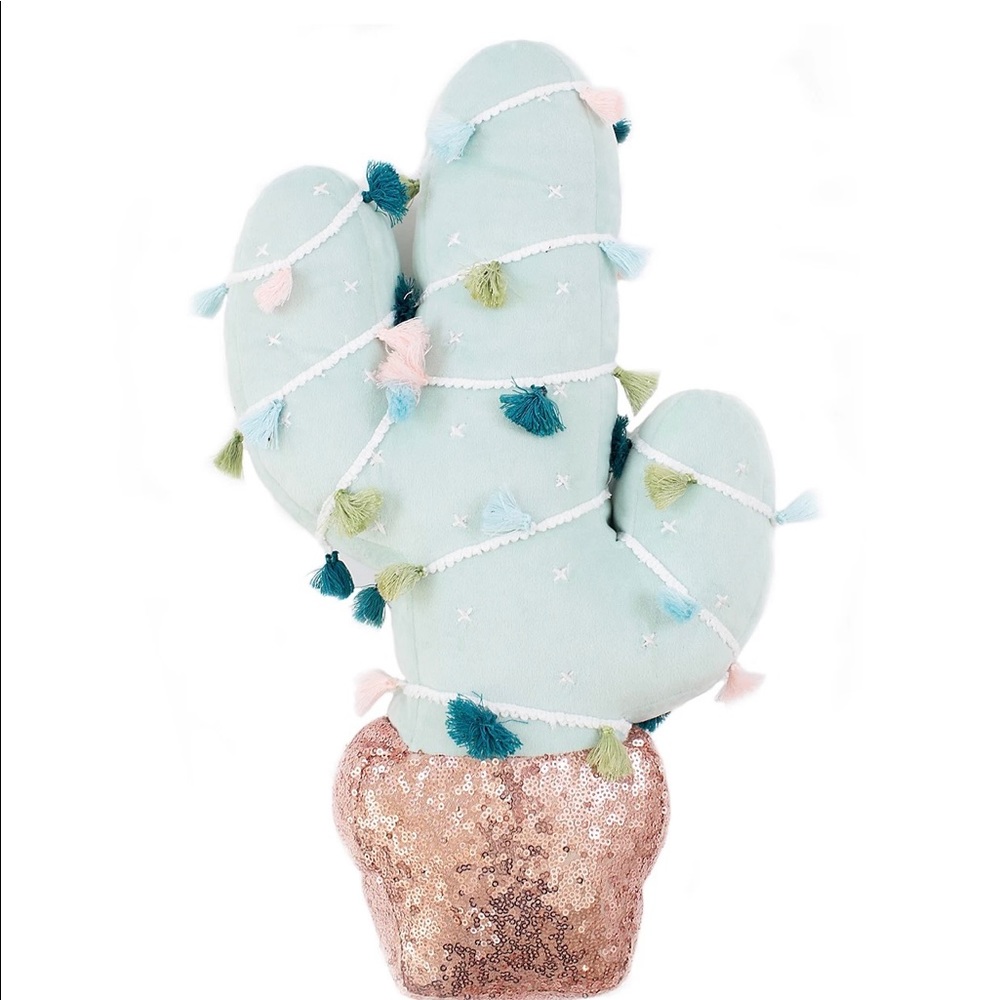 Lauren Conrad Cactus